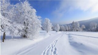 冬季休業のお知らせ